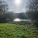 A photo of the sun shining over a reservoir and grassy meadow