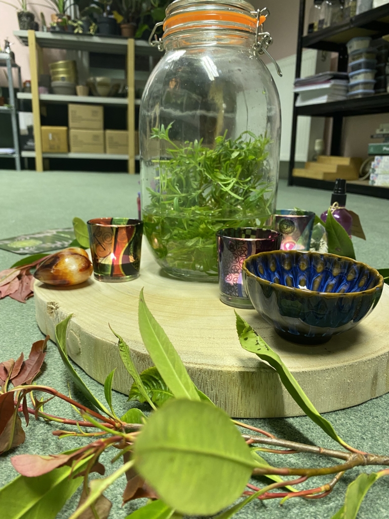 Cleavers plant circle Plant Medicine Circle altar with Cleavers
